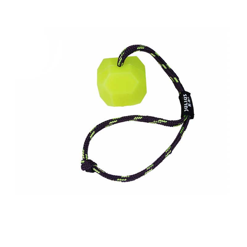 Pelota Perro Fluorescente Neon Juguete 60mm IDC® Julius-K9®