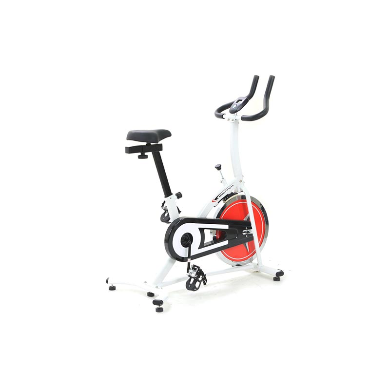 Bicicleta Spinning AL802-1 Rueda 13Kg Ejercicio Casa Fitness Station