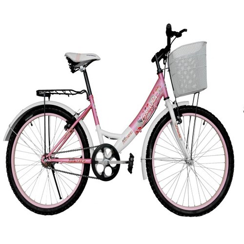 Bicicleta Equipada Con Canasta Y Parrilla Bravia Rodada 24-Rosa