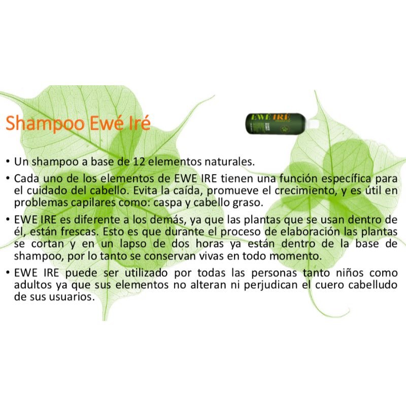 Shampoo Orgánico Y Ecológico Ewe Ire -900ml (2 Unidades)