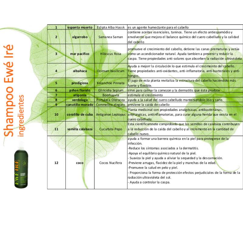 Shampoo Orgánico Y Ecológico Ewe Ire - 500ml (2 Unidades)