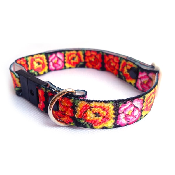 Collar Para Gato Con Dise?o En Naranja, De El?stico Y Broche De Seguridad Breakaway. Marca Nyucat