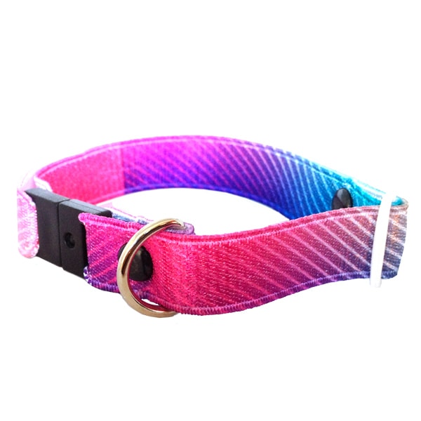 Collar Para Gato Con Dise?o En Morado Y Rosa, De El?stico Y Broche De Seguridad Breakaway. Marca Nyucat
