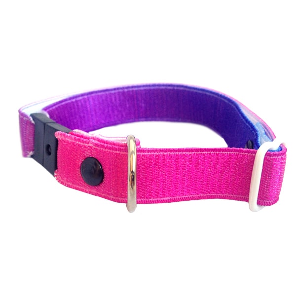 Collar Para Gato Con Dise?o En Morado Y Rosa, De El?stico Y Broche De Seguridad Breakaway. Marca Nyucat