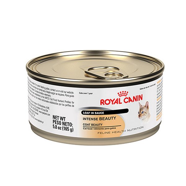 Royal Canin Alimento Húmedo para Gato piel y pelo sano