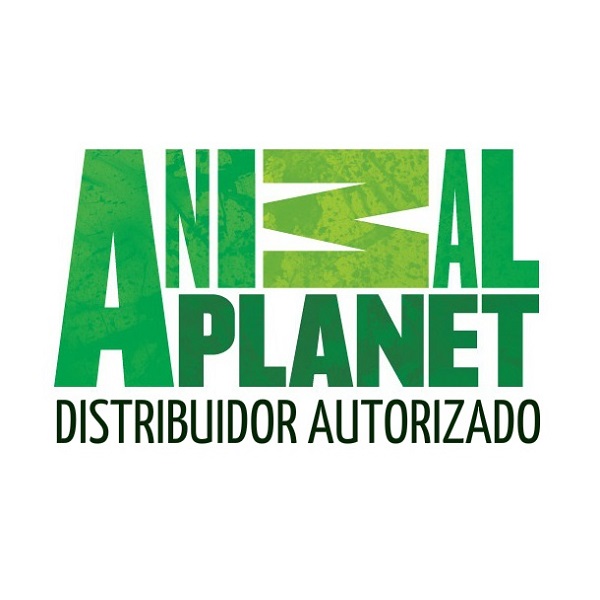 Correa Castigo Perro Calibre 12 Morado Paseo Animal Planet