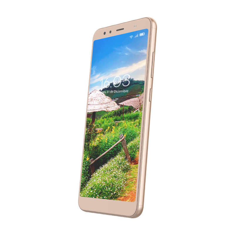 Celular HISENSE LTE F18 Color DORADO Telcel