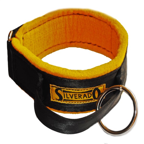 Collar De Intervencion T.24