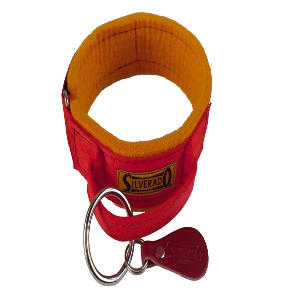 Collar De Intervencion T.22