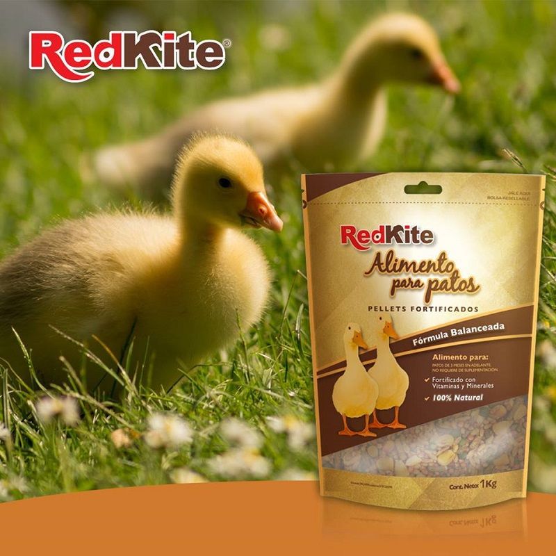 1kg De Alimento Mezcla Semillas Para Patos Cód Fl4014