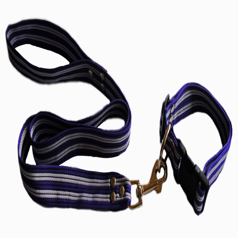 Juego De Collar Y Correa Bicolor Talla Jumbo