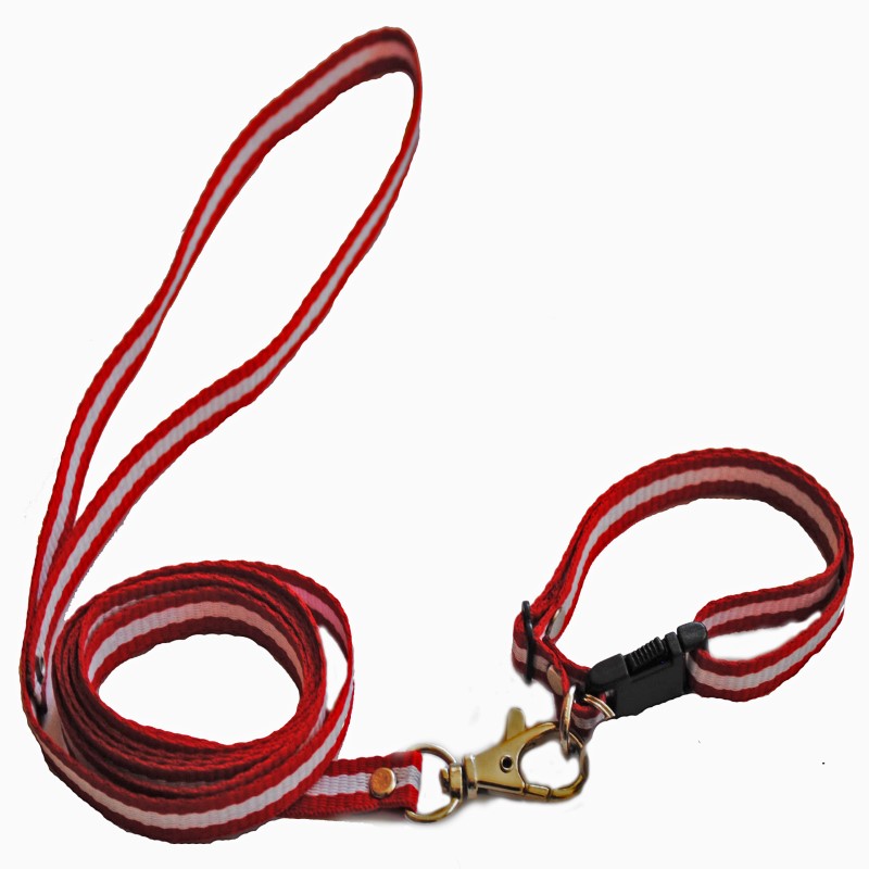 Juego Collar Y Correa De Nylon Para Perros De Raza Chica.