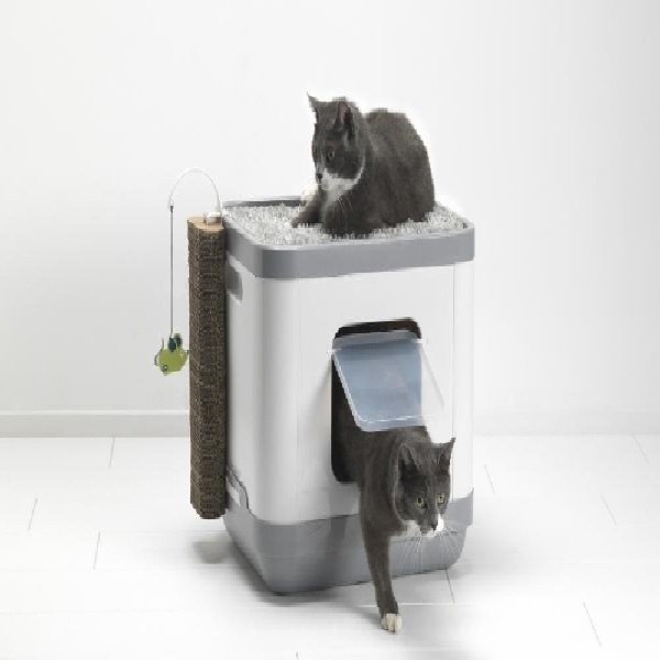 Arenero Cama Juguete Gato Cat Concept Moderna Lujo C/envío