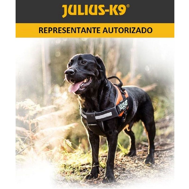 Arnés Perro IDC Power Julius-K9® Negro Talla 4