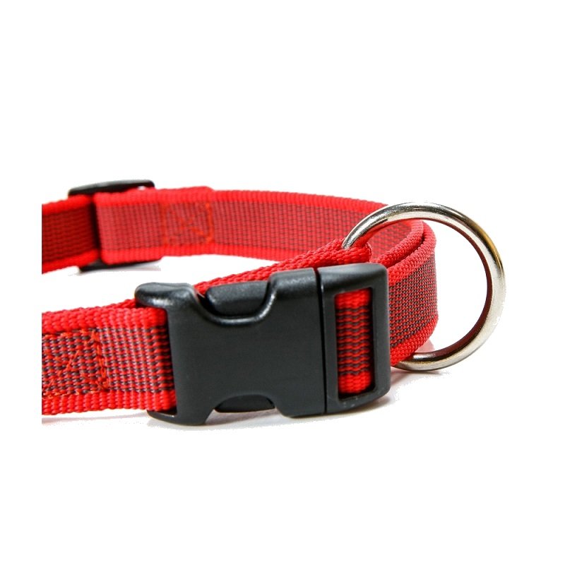Collar Perro Julius-K9® Color&Gray Razas Pequeñas Rojo