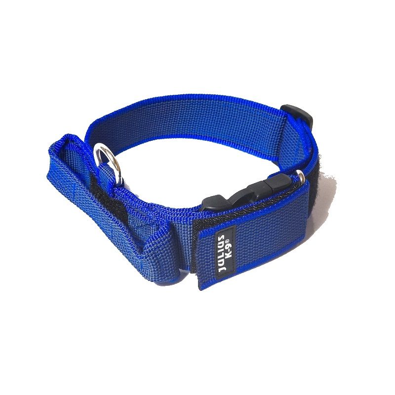 Collar Perro K9 Asa-Julius-K9® Raza Mediana-Grande Azul