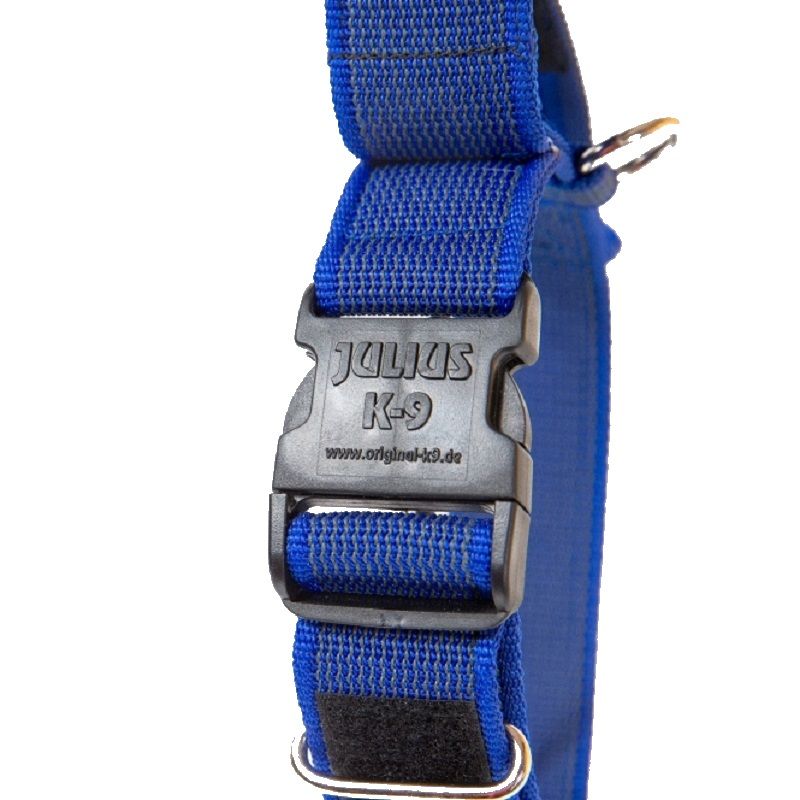 Collar Perro K9 Asa-Julius-K9® Raza Mediana-Grande Azul