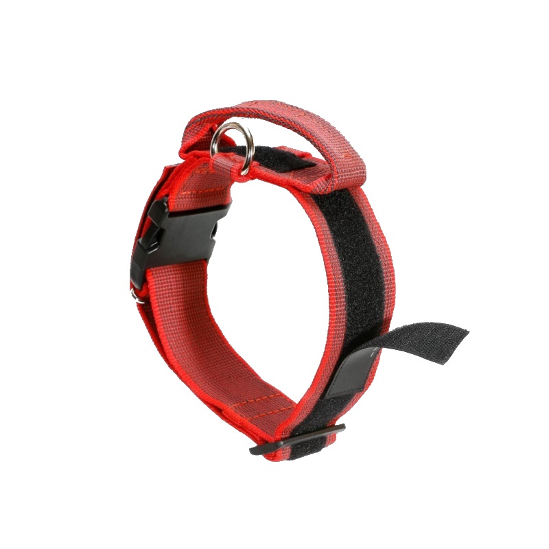 Collar Perro K9 Asa-Julius-K9® Raza Mediana-Grande Rojo