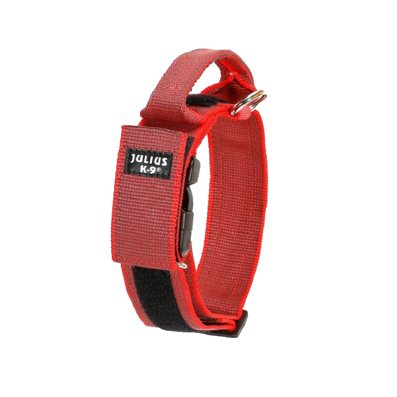 Collar Perro K9 Asa-Julius-K9® Raza Mediana-Grande Rojo