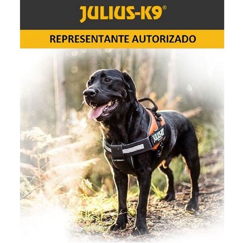 Collar Perro K9 Asa-Julius-K9® Raza Grande-Gigante Negro