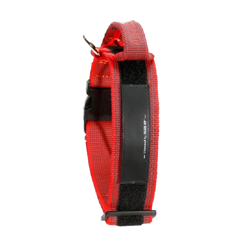 Collar Perro K9 Asa-Julius-K9® Raza Grande-Gigante Rojo