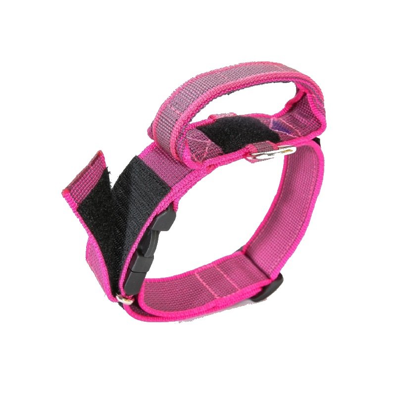 Collar Perro K9 Asa-Julius-K9® Raza Grande-Gigante Rosa