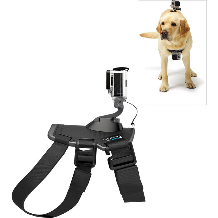 ARNES PARA PERRO Y CAMARA GOPRO (FETCH)