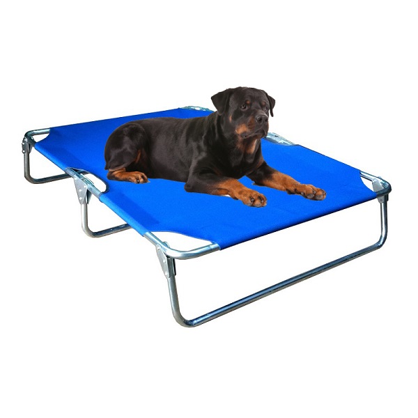 Catre Cama Perro Extra Grande Azul Plegable Mascota Pegaso