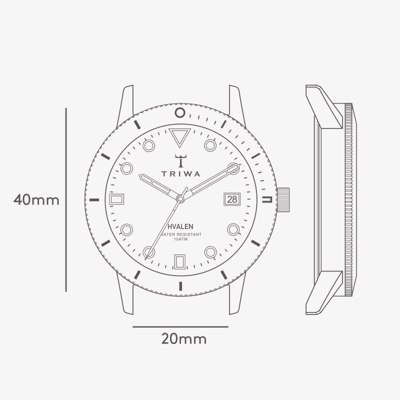 Reloj TRIWA de hombre Ivory piel café Hvalen