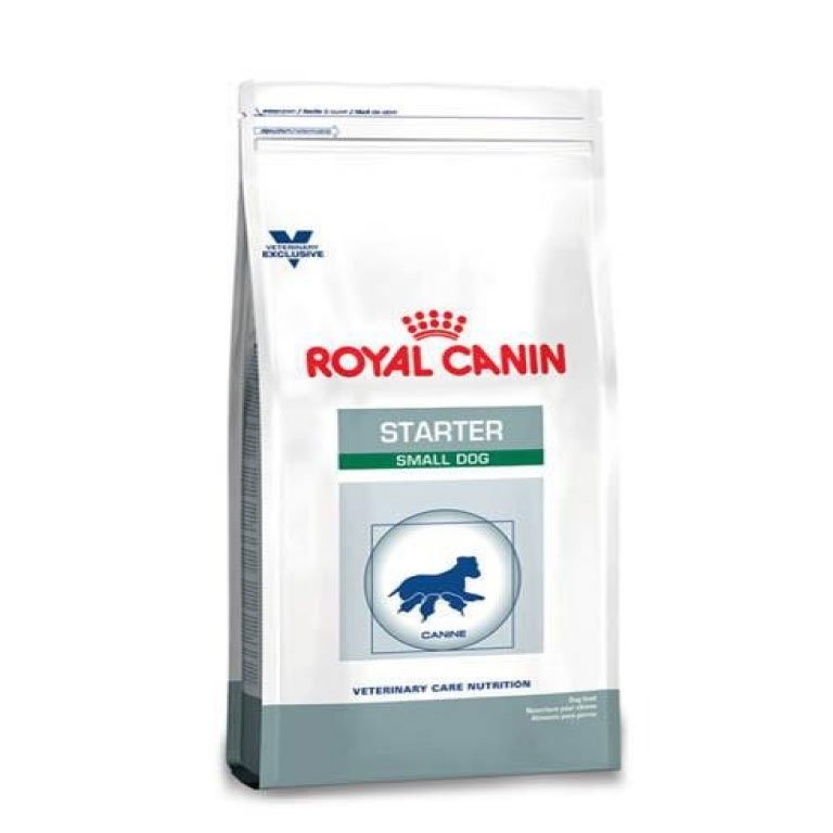 Royal Canin Starter Small Dog 9,5 Kg - Alimento Perro Raza Pequeña