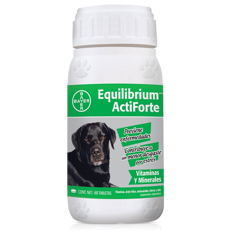 Vitaminas Equilibrium Bayer Actiforte 60 Tabletas Para Perro