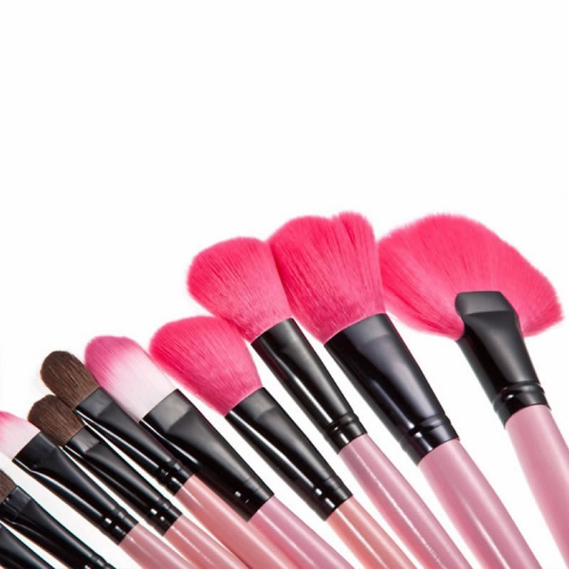 Set de 24 brochas con estuche rosa