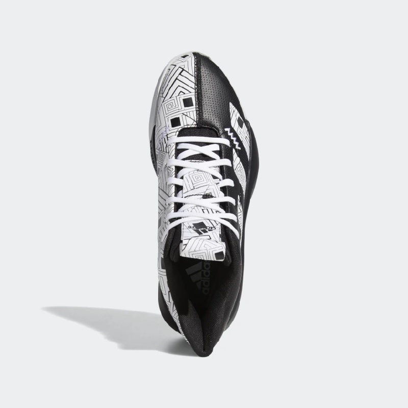 ADIDAS PRO NEXT 2019 CABALLERO