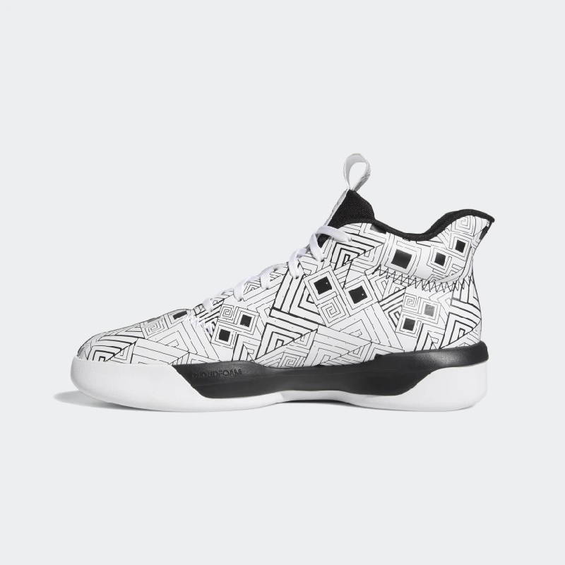 ADIDAS PRO NEXT 2019 CABALLERO