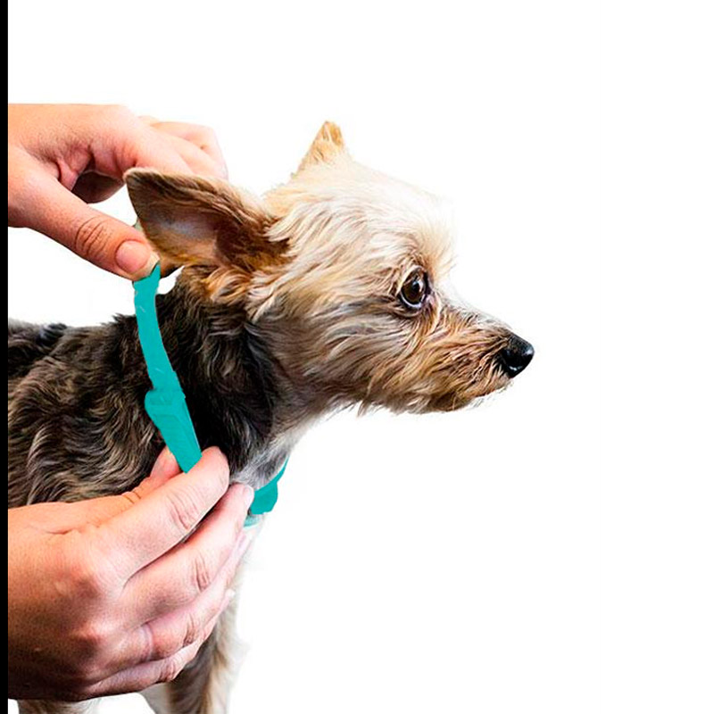 Señor Dog® ¡Ahí No! Nivel 4 Interiores y Exteriores. Marcaje por Dominancia. Top Dog Kit Repelente natural de perros
