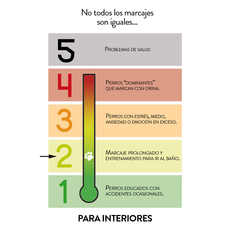 Señor Dog® ¡Ahí No! Nivel 2 Interiores. Entrenamiento para ir al baño. Repelente natural de perros 750ml + ¡Adiós Olores! 750ml