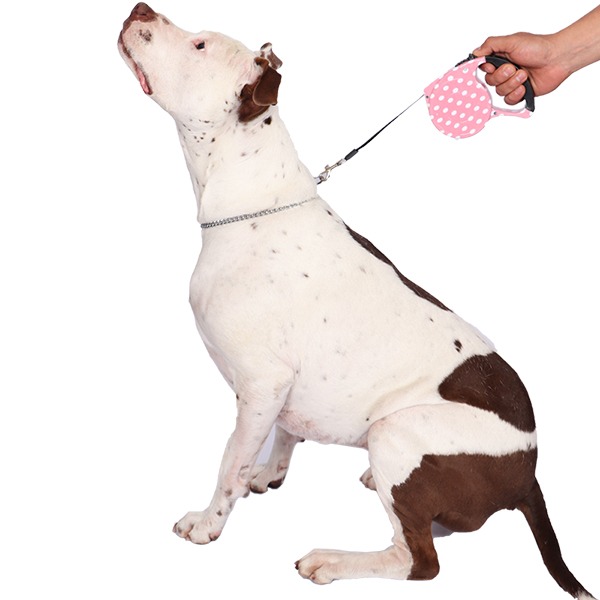 Correa Retráctil 3 Metros Para Perro Máximo 15 Kg Innovapets