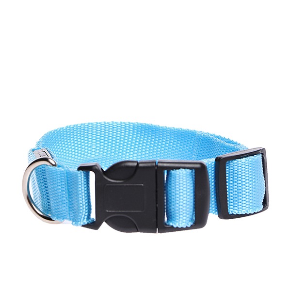 Collar Luz Led Paseo Nocturno Para Perro