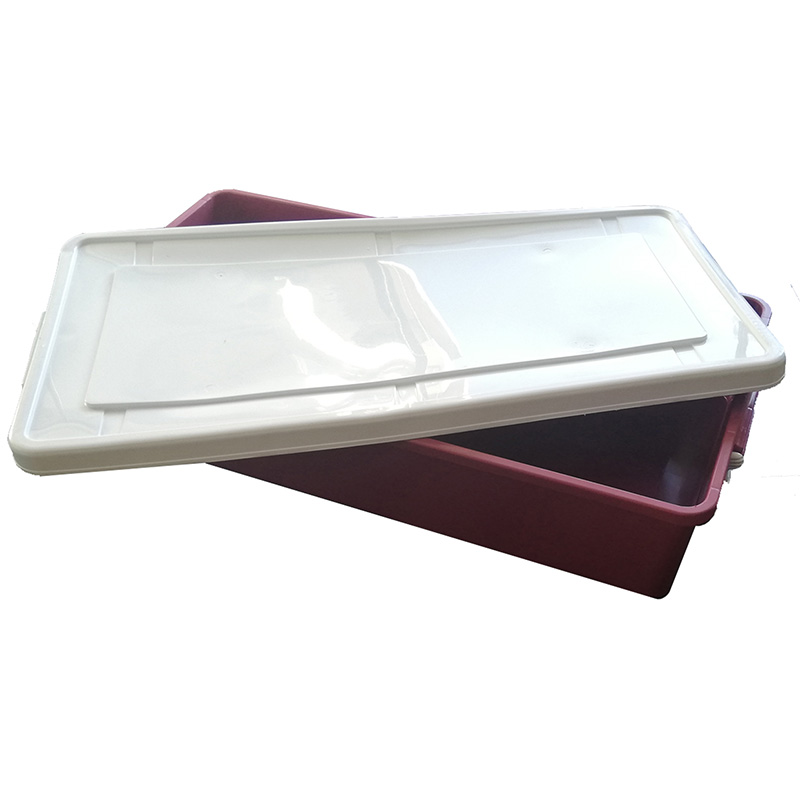 Caja Bajo Cama con Llantas - FoodKeepers