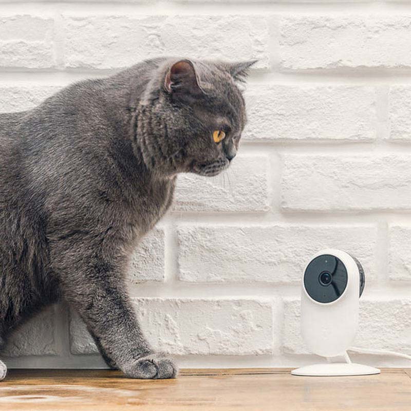 Cámara de Seguridad Xiaomi Mi Home Security Camera Basic 1080p Blanca.