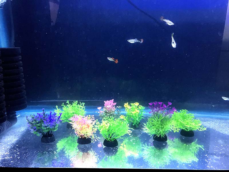 Plantas Para Acuario Artificiales Plasticas Decorativas 5 Cm 9 Pzs