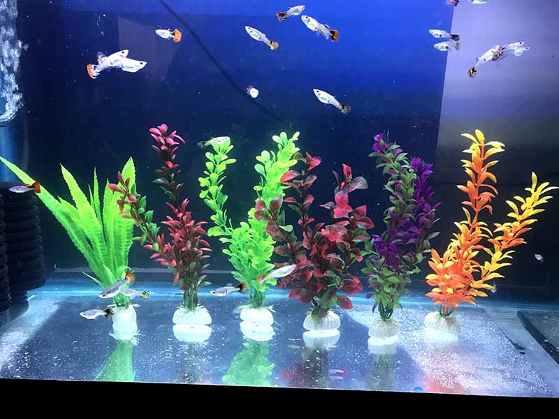 Plantas Para Acuario Artificiales Plasticas Decorativas 20 Cm 6 Pzs