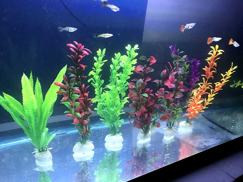 Plantas Para Acuario Artificiales Plasticas Decorativas 20 Cm 6 Pzs