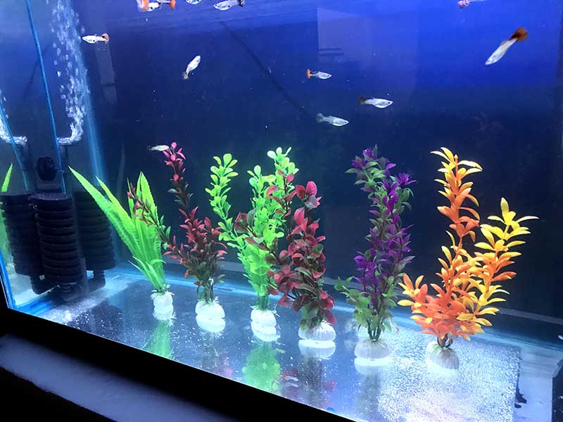 Plantas Para Acuario Artificiales Plasticas Decorativas 20 Cm 6 Pzs