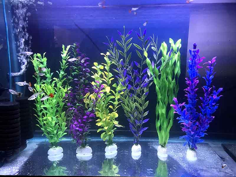 Plantas Para Acuario Artificiales Plasticas Decorativas 30 Cm 6 Pzs