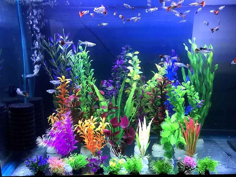 Plantas Para Acuario Artificiales Plasticas Decorativas 27 Pzas Variedad De Colores Y Tamaños