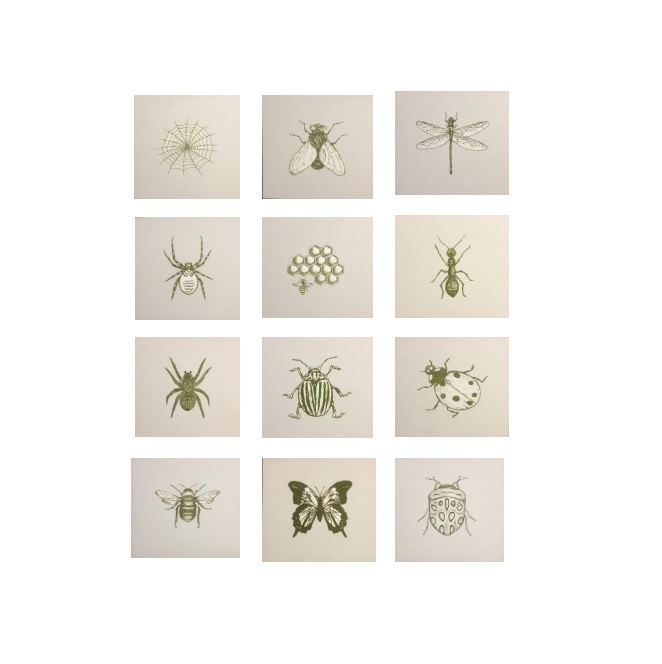 Cuadro Decorativo Sets Insectos - Kessa
