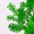 Planta Cipres Rama Pino Verde Claro Artificial Para Decorar 30 cm de largo