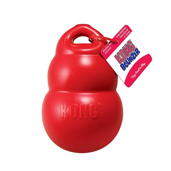 kong juguete perro