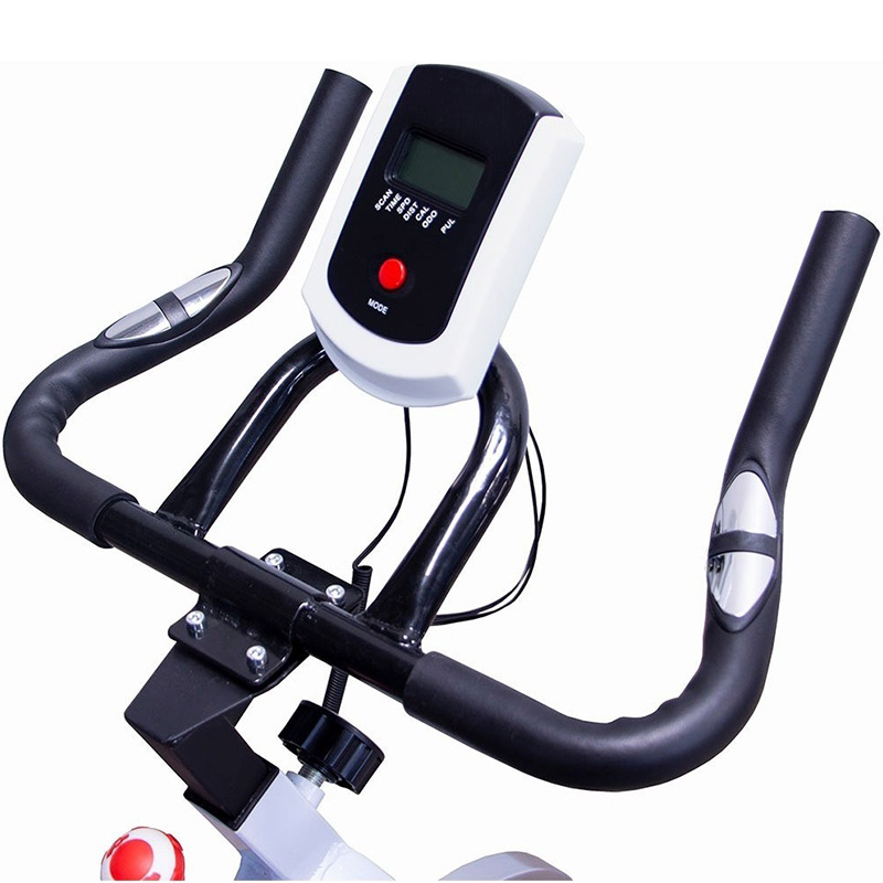 Bicicleta Spinning Fija 10kg Ejercicio Gym Centurfit
